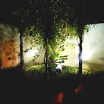 Il Grillo Parlante Bed & Breakfast Surbo