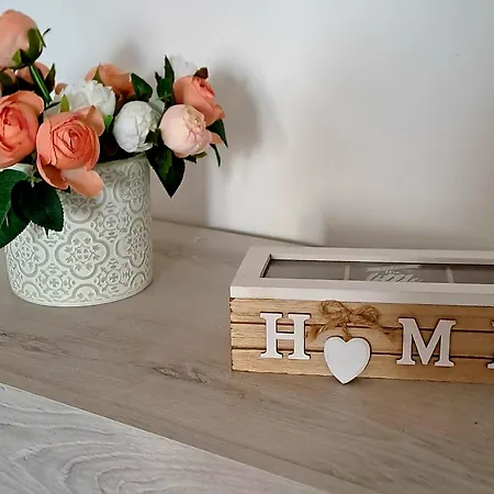 Il Grillo Parlante 3* Surbo