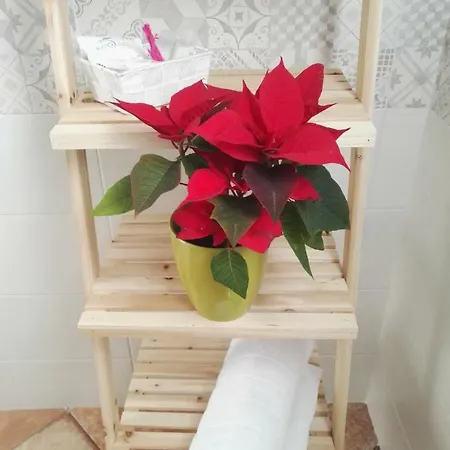 Bed & Breakfast Il Grillo Parlante Surbo