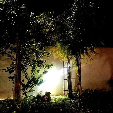 Il Grillo Parlante Surbo