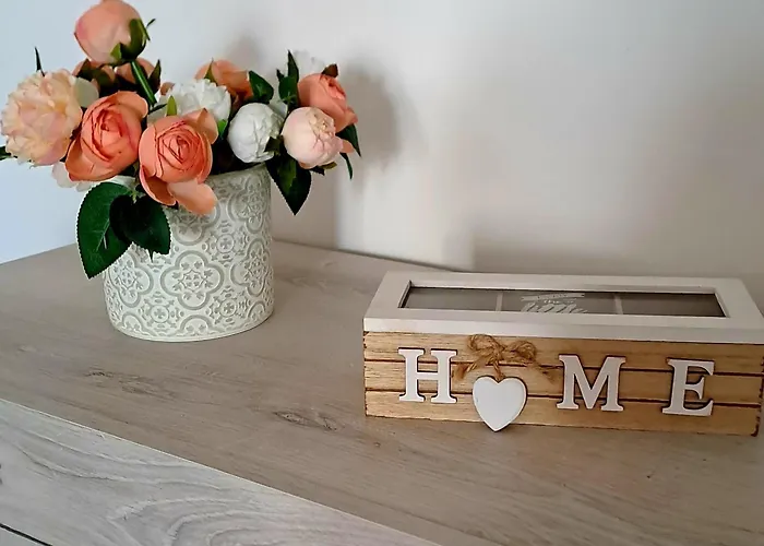 Il Grillo Parlante 3* Surbo